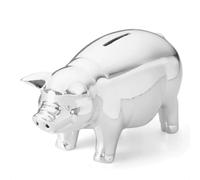 Zinc Alloy Silver-Plated Piggy Bank, Stainless Steel Saving Box for Adults with Coin Slot, Durable Metal Money Bank