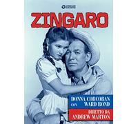 Zingaro