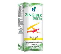 ZINGIBER DELTA SOL IAL 50ML OME