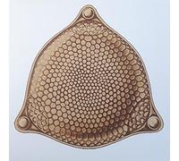 Zion Train - Remix Ep Feat. Amp Outernational, Natura