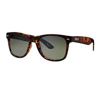 Zippo Frame, Occhiali Unisex-Adulto, Demi, M