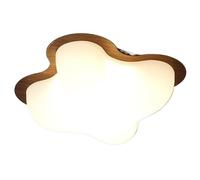 zishuo shop Lampade da Parete, Piccole Plafoniere a Led, Apparecchi Di Illuminazida Soffitto Moderni Dimmerabili,Pada da Soffitto da 12 W con Paralume in Polietilener Soggiorno, Camera da Letto, Corri