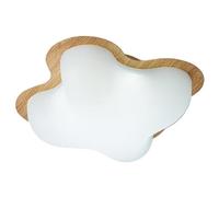 zishuo shop Lampade da Parete, Piccole Plafoniere a Led, Apparecchi Di Illuminazida Soffitto Moderni Dimmerabili,Pada da Soffitto da 12 W con Paralume in Polietilener Soggiorno, Camera da Letto, Corri