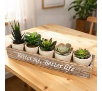 Zithgen 5PZ Artificiali Piante Grasse, MiNi Piante Succulente Artificiali Finte Decorazioni di Alta Qualità Vaso Piante Artificiali Finte Succulente in Vaso da Interno e Esterno per Scrivania, Casa