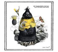 Ziv Taubenfeld'S Full Sun Out of the Beast Came Honey (CD)