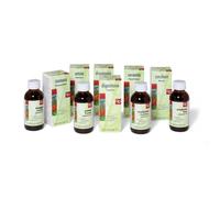 Ziziphus Eis Preparato 07 60 ml