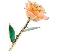 ZJchao 24K Gold Rose, Real Rose Gold Plated, Gold Rose 24 Karat Rose Silver Flowers Love Forever 24k Gold Plated Real Rose, Gift of Love (Rosso Champagne)