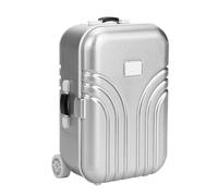 ZJchao Giocattoli 'Accademia, Giocattoli per Giocattoli per Bambini per Bambini Valuta Vera Mini Giocattoli per Bambini per Bambini (SILVER)