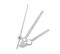 ZJchao Lancette dell'orologio da Uomo, Lancette delle Ore, dei Minuti e dei Secondi Compatibili con il Movimento ETA2834 (SILVER)