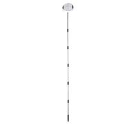 ZJchao Raccoglitore a Rulli per Noci, Acorn Picker per Noci Pecan e Comuni, Diametro 1,9-3,8 Cm per Giardino Frutteto e Fattoria (6 Poli)