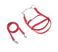 ZJchao Set di Briglie e Redini per Cavallo in Nylon Regolabili per Testiera da Equitazione Equestre con vestibilità Comoda, Ideale per l'allenamento e l'uso su Pista (S)