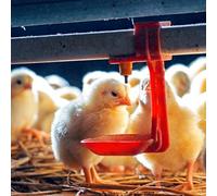 ZJchao Set Mangiatoia e Abbeveratoio per Polli, 2,6x2,6x5,1 Pollici Accessori per Pollaio ABS Porta Mangiatoia per Polli Casa e Commercio Allevamenti di Pollame di Pollo