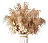 ZJTAPE Piume Erba Della Pampas - 45 pezzi Erba di Pampa Essiccata Naturale, fronde soffici di erba di Pampa marrone, Bouquet di Fiori Secchi per tavolo da matrimonio, decorazioni per la casa Boho