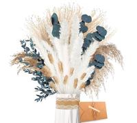 ZJTAPE Piume Erba Della Pampas - Eucalipto Essiccato Naturale, Erba di Pampa Bianca Fronde Soffici, Bouquet di Fiori Secchi per tavolo da matrimonio, decorazioni per la casa Boho