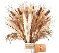ZJTAPE Piume Erba Della Pampas - Set di Erba di Pampa Essiccata Naturale, Erba di Pampa Marrone Fronde Soffici, Bouquet di Fiori Secchi per il Matrimonio Perfetto, Decorazioni Per la Casa