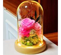 ZJYIGOWL Bouquet di Rose in Campana di Vetro per La Mamma Rosa Eterna di Lunga Durata con Luce LED, Regali per La Festa della Mamma per Donne, Mamme, Mogli, Nonne(Pink B)