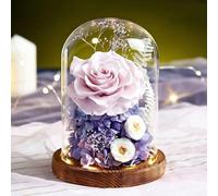 ZJYIGOWL Rose Stabilizzate in Campana di Vetro Rosa Eterna con Luci Regali di Compleanno per Donne, per La Festa della Mamma, per La Nonna, La Moglie, La Figlia, per L'anniversario(Purple B)