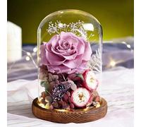 ZJYIGOWL Rose Stabilizzate in Campana di Vetro Rosa Eterna con Luci Regali di Compleanno per Donne, per La Festa della Mamma, per La Nonna, La Moglie, La Figlia, per L'anniversario(Purple C)