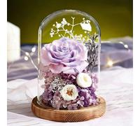 ZJYIGOWL Rose Stabilizzate in Campana di Vetro Rosa Eterna con Luci Regali di Compleanno per Donne, per La Festa della Mamma, per La Nonna, La Moglie, La Figlia, per L'anniversario(Purple A)
