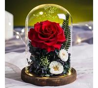 ZJYIGOWL Rose Stabilizzate in Campana di Vetro Rosa Eterna con Luci Regali di Compleanno per Donne, per La Festa della Mamma, per La Nonna, La Moglie, La Figlia, per L'anniversario(Red)