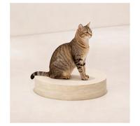 zklaseot Espositore Rotondo, Tavolino Da Caffè Moderno, Tavolini Rotondi Da Divano, Adatti Per Decorazioni Per Feste, Collezioni, Gioielli, Manichini Umani E Scarpe(30x60cm)