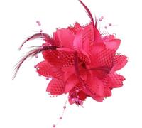 Zkydhbd Elegante fermaglio per capelli con piume per donne e ragazze, accessorio per capelli per matrimoni, feste e spettacoli scolastici