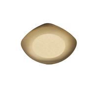 Zkydhbd Elegante Piatto Condimento In Metallo 304 In Acciaio Inox Salsa Ciotola Multiuso Antipasto Piatto per Pranzo Cucina Stoviglie Commerciale Ristorante Condimento Piatti