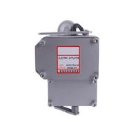 ZLGYGLEO 1 pz ADC175 ACD175A Attuatore motore diesel 12V 24V Regolatore unità di controllo della velocità Attuatore generatore Valvola Accessori generatore(24V)
