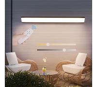 ZLLFHS Lampada da Parete con Telecomando Lampada da Parete a Striscia Lunga per Esterni/Interni Dimmerabile infinitoDa 10% a 100% IP65 Parete in Acrilico Antipioggia da Giardino per Cortile Scala