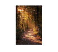 ZLLJXFZZ Poster artistico da appendere con sentiero nella foresta con luce solare dorata che filtra gli alberi, realismo poetico, decorazione moderna da appendere, 20 x 30 cm