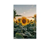 ZLLJXFZZ Poster artistico da appendere con tramonto estivo su un campo di girasoli, con calda luce dorata e lunghe ombre, decorazione da parete, poster artistico da appendere, 60 x 90 cm