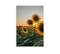 ZLLJXFZZ Poster artistico da appendere con tramonto estivo su un campo di girasoli, con calda luce dorata e lunghe ombre, decorazione artistica da parete, 40 x 60 cm