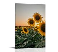 ZLLJXFZZ Poster artistico da appendere con tramonto estivo su un campo di girasoli, con luce dorata calda e lunghe ombre, decorazione artistica da parete, 30 x 45 cm