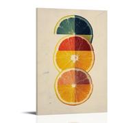 ZLLJXFZZ Poster con frutta Bauhaus, decorazione artistica da parete geometrica con agrumi, decorazione moderna da appendere, 30 x 45 cm
