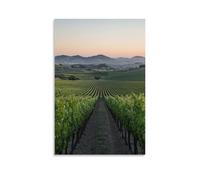 ZLLJXFZZ Poster da appendere alla parete, decorazione moderna da appendere, motivo: "A Quiet Vineyard at Dusk with Rows of Grapes and Distant Hills" (60 x 90 cm)