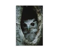 ZLLJXFZZ Poster da parete a forma di Kapok cavo, con immagine di un nido d'aquila dell'arpia, decorazione moderna da appendere, 20 x 30 cm