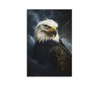 ZLLJXFZZ Poster da parete con animale, tuono, aquila nata nella tempesta, decorazione moderna da appendere, 20 x 30 cm