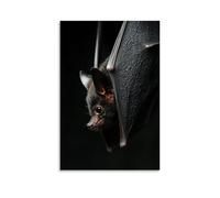 ZLLJXFZZ Poster decorativo da parete con animali notturni, pipistrello ombra, decorazione moderna da appendere, 50 x 75 cm