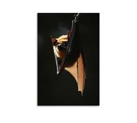 ZLLJXFZZ Poster decorativo da parete con animali notturni, pipistrello ombra, decorazione moderna da appendere, 50 x 75 cm