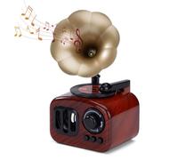 ZLLkeji Carillon Musicale Altoparlante per Elise Regali di Natale e di Compleanno per Ragazze e Donne la Decorazione della casa