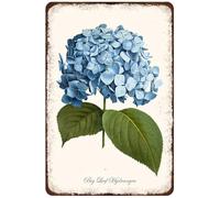 Zltegako Targa in metallo vintage con stampa botanica blu con grande foglia ortensia stampa floreale decorazione per la casa storia naturale antica ortensia stampa poster da parete poster regalo 20,3