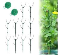 ZMdooreasy 10 cornici verdi di supporto per piante in vaso a forma di ramo e filo di legatura per guidare le viti verso l'alto in piccoli spazi (B)