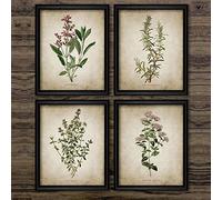 ZMFBHFBH Poster e Stampe su Tela Vintage con Erbe aromatiche, origano rosmarino Salvia Timo Pittura su Tela Retro Wall Art Pictures Decor 30x40cmx4pcs Senza Cornice