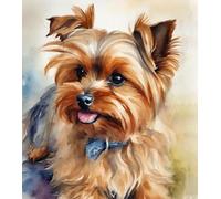 ZMHZMY Dipingere con i numeri, per bambini di età compresa tra 8 e 12 anni, Yorkshire Terrier, pittura digitale fai da te, per principianti, decorazione da parete, regalo, 40 x 50 cm