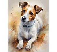 ZMHZMY Dipingi con i numeri, per adulti, motivo: Jack Russell Terrier, pittura acrilica per principianti ed esperti, regalo per familiari e amici