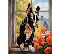 ZMHZMY Kit di pittura acrilica fai da te con numeri su tela, Boston Terrier sul davanzale della finestra, tonalità da sogno, una festa visiva nella pittura a olio digitale, 40 x 50 cm, senza cornice