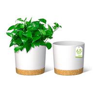 ZMTECH Vasi Per Piante Da 16,5 cm, Fioriere Moderne Con Fori Di Drenaggio e Sottovaso Staccabile, Vasi Di Plastica Per Piante Per Il Davanzale Della Casa e Del Giardino (Bianco, Set Di 2)