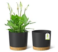 ZMTECH Vasi Per Piante Da 20 cm, Fioriere Moderne Con Fori Di Drenaggio e Sottovaso Staccabile, Vasi Di Plastica Per Piante Per Il Davanzale Della Casa e Del Giardino (Grigio Scuro, Set Di 2)