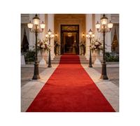 ZNQNDSR Tappeti Moderni Per Corridoi Spessi, Essenziali Per Le Decorazioni Di Feste Di Matrimonio, Balli Di Fine Anno, Compleanni, Serate Di Cinema(Deep red,6.5x32.8ft)