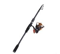 Zoegneer Canna da pesca telescopica in fibra di carbonio, peso 2000 g, per luoghi di pesca come fiumi, laghi, stagni, torrenti (manico dritto 2,7 m)